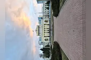Тестовая 2